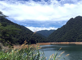 井冈山国家级自然保护区实现“绿色崛起”